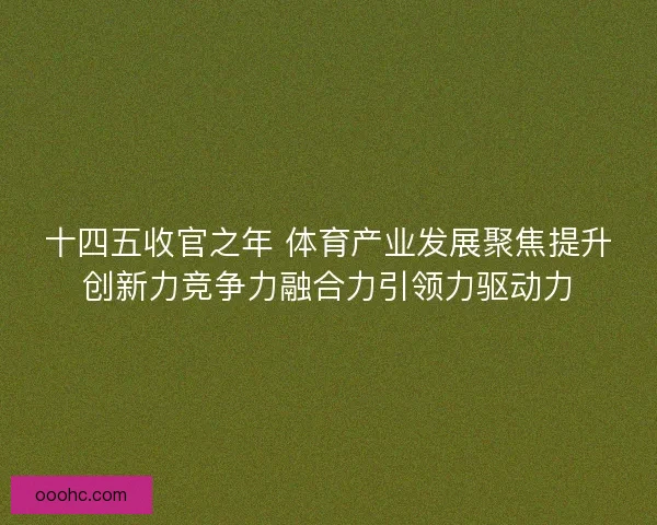 十四五收官之年 体育产业发展聚焦提升创新力竞争力融合力引领力驱动力